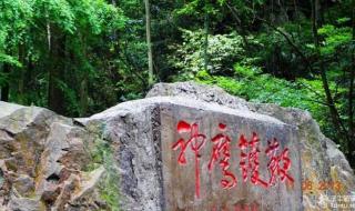 穿越嫁给山里多弟兄