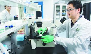 新闻学考研排名